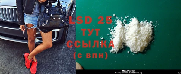 молекула духа Арсеньев