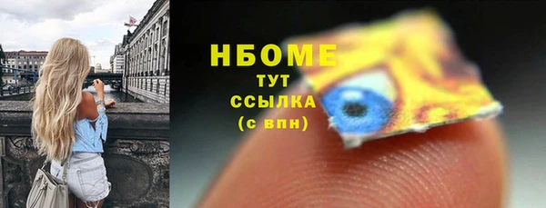 молекула духа Арсеньев