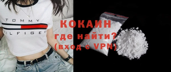 молекула духа Арсеньев