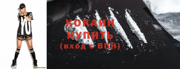 молекула духа Арсеньев