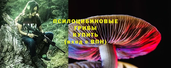 apvp Аркадак