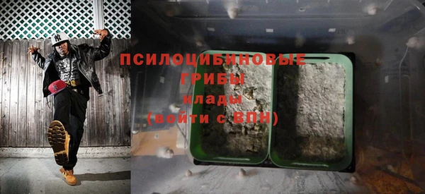 молекула духа Арсеньев