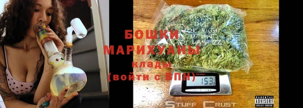 apvp Аркадак