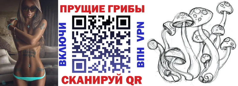 ссылка на мегу ССЫЛКА  закладки  Заполярный  Галлюциногенные грибы мицелий 
